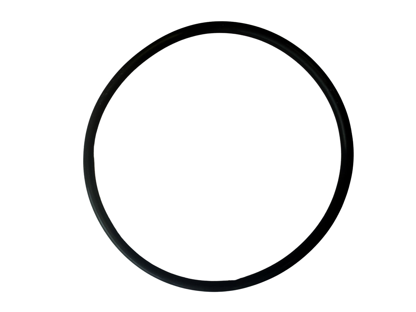 O RING CELL LID Viton suits all Insnrg Chlorinator Cells